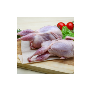 Quail