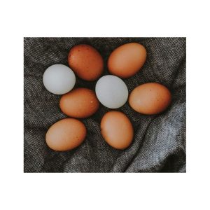 Huevos Ecológicos de Andorra